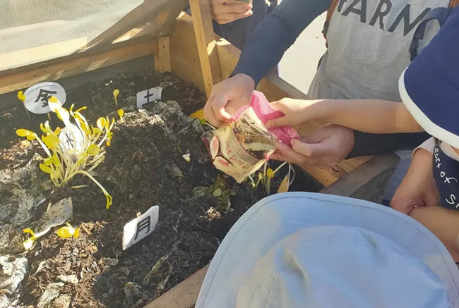 FOOD WASTE