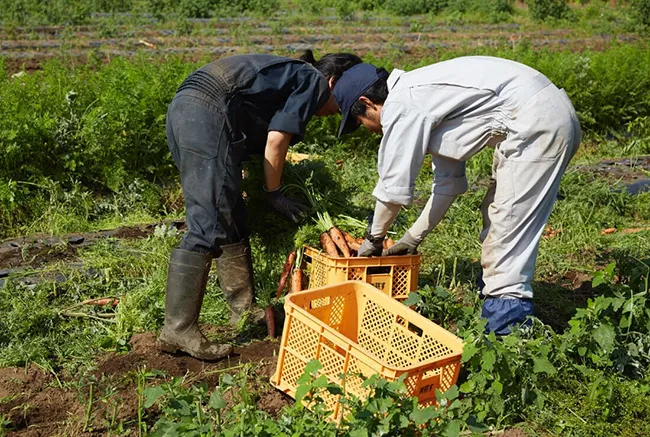 TRACEABILITY