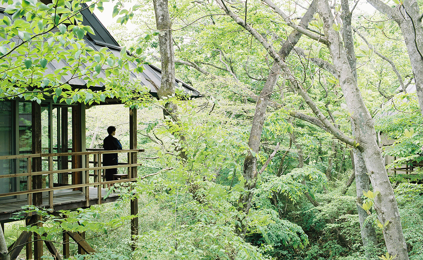 温泉山荘 だいこんの花 NONGRID INC.